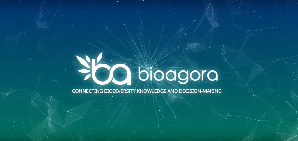 Featured image for Discover the BioAgora introduction video!