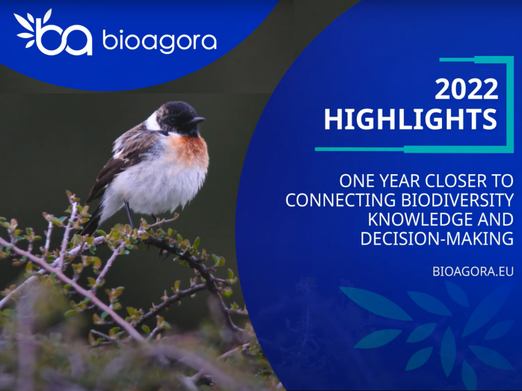 Featured image for BioAgora 2022 Highlights