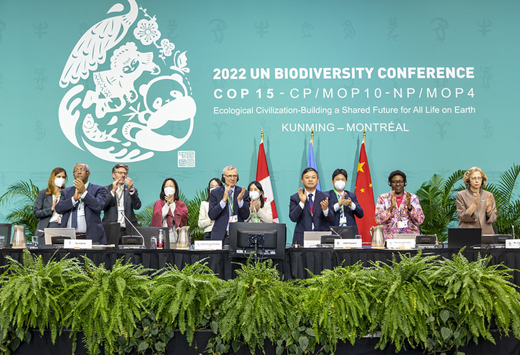 Featured image for BioAgora welcomes the signing of a historic biodiversity agreement at COP15