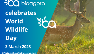 Cover image for article: BioAgora celebrates World Wildlife Day!
