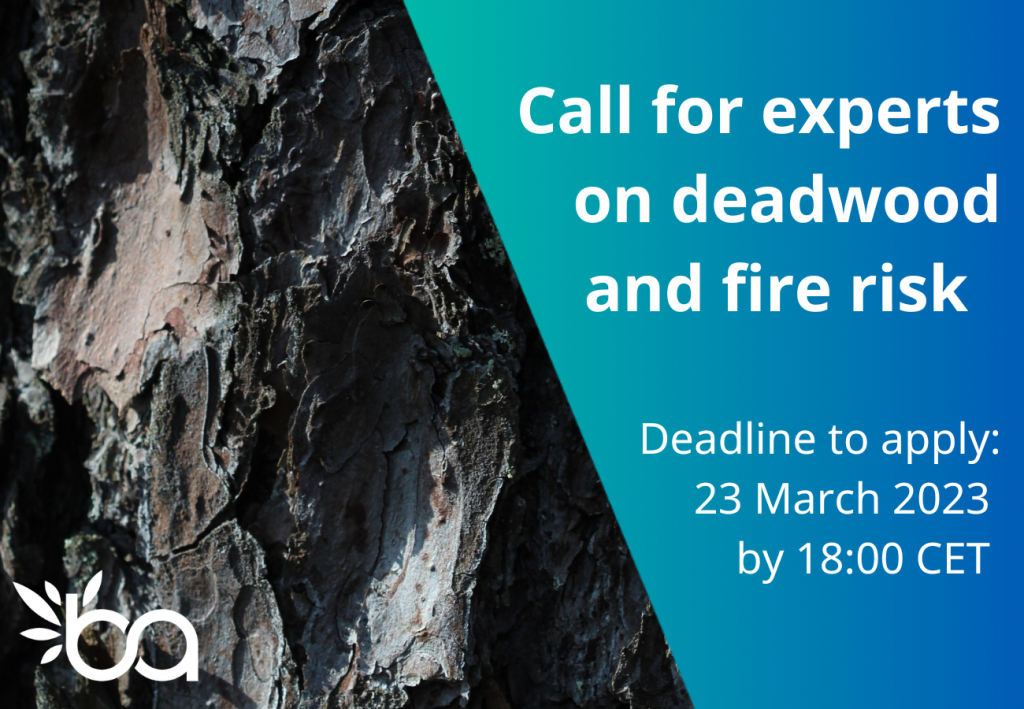 Featured image for Call for experts on deadwood and fire risks
