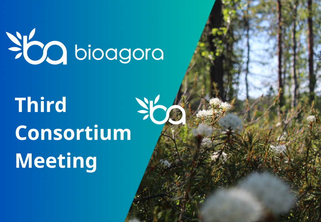 Featured image for BioAgora’s consortium meeting: A productive exchange between project partners