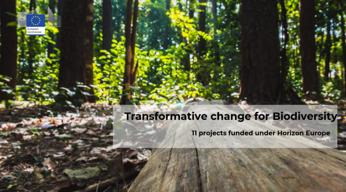 Featured image for Biodiversity boost: A cluster of projects working on transformative change is established