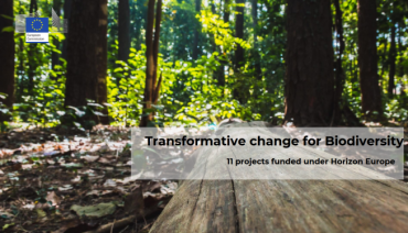 Cover image for article: Biodiversity boost: A cluster of projects working on transformative change is established