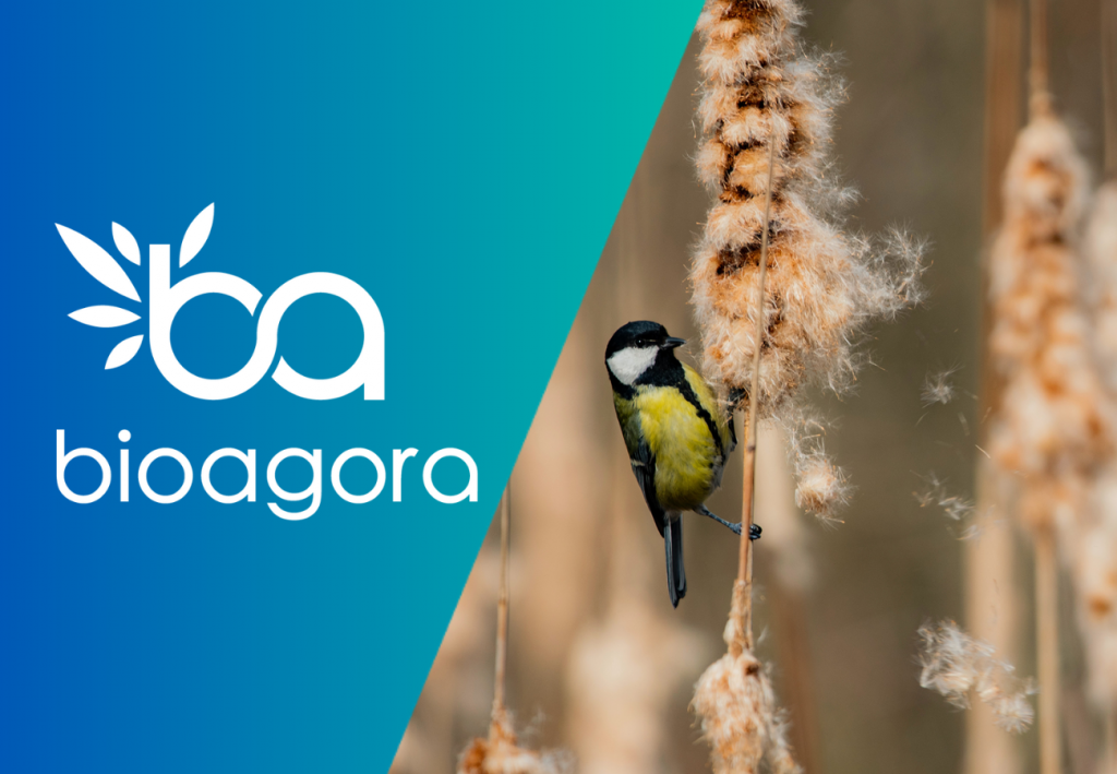 Featured image for BioAgora has nominated observers for the EU Biodiversity Platform