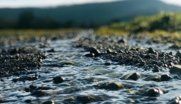 Cover image for article: Seven challenges to implementing the EU Nature Restoration Law on river ecosystems identified by researchers