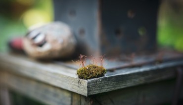 Cover image for article: BioAgora held a workshop on biodiversity and citizen science at the 5th ECSA 2024 Conference