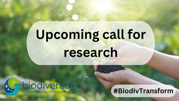 Featured image for Opportunity: Upcoming Biodiversa+ Call on “Biodiversity and Transformative Change – BiodivTransform”