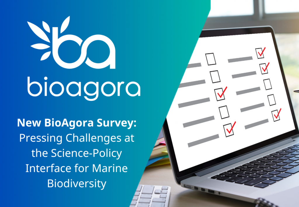 Featured image for New BioAgora survey: Pressing challenges at the science-policy interface for marine biodiversity