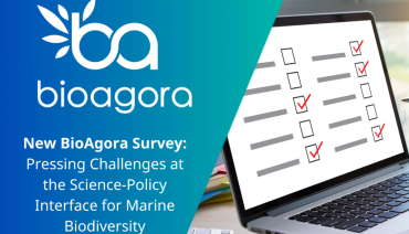 Cover image for article: New BioAgora survey: Pressing challenges at the science-policy interface for marine biodiversity