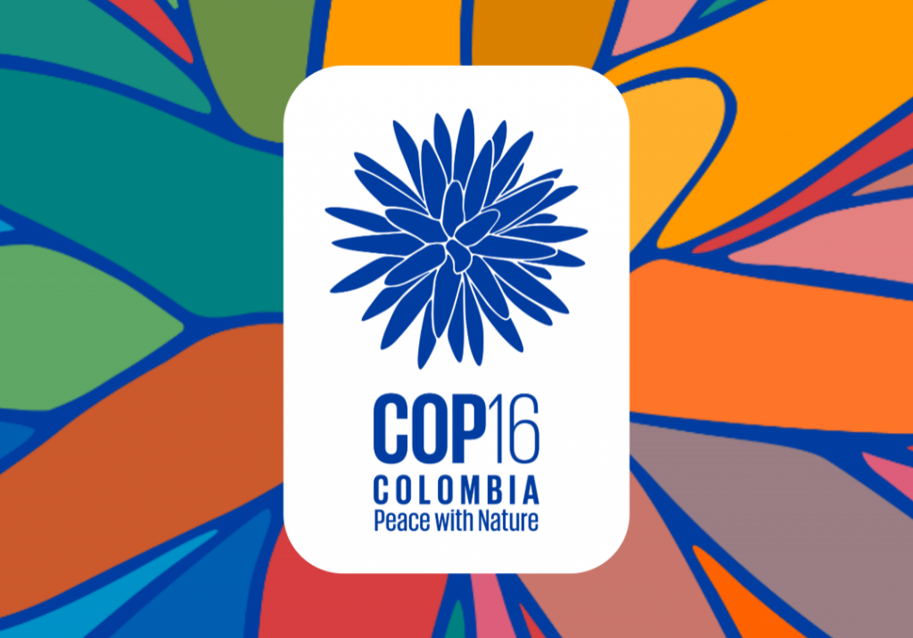 Featured image for BioAgora to co-host side events at the 2024 United Nations Conference for Biodiversity (COP16)
