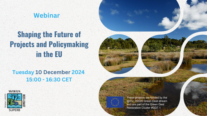 Featured image for Upcoming webinar: Exploring the Green Deal projects' role in the Nature Restoration Law