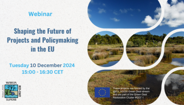 Cover image for article: Upcoming webinar: Exploring the Green Deal projects' role in the Nature Restoration Law