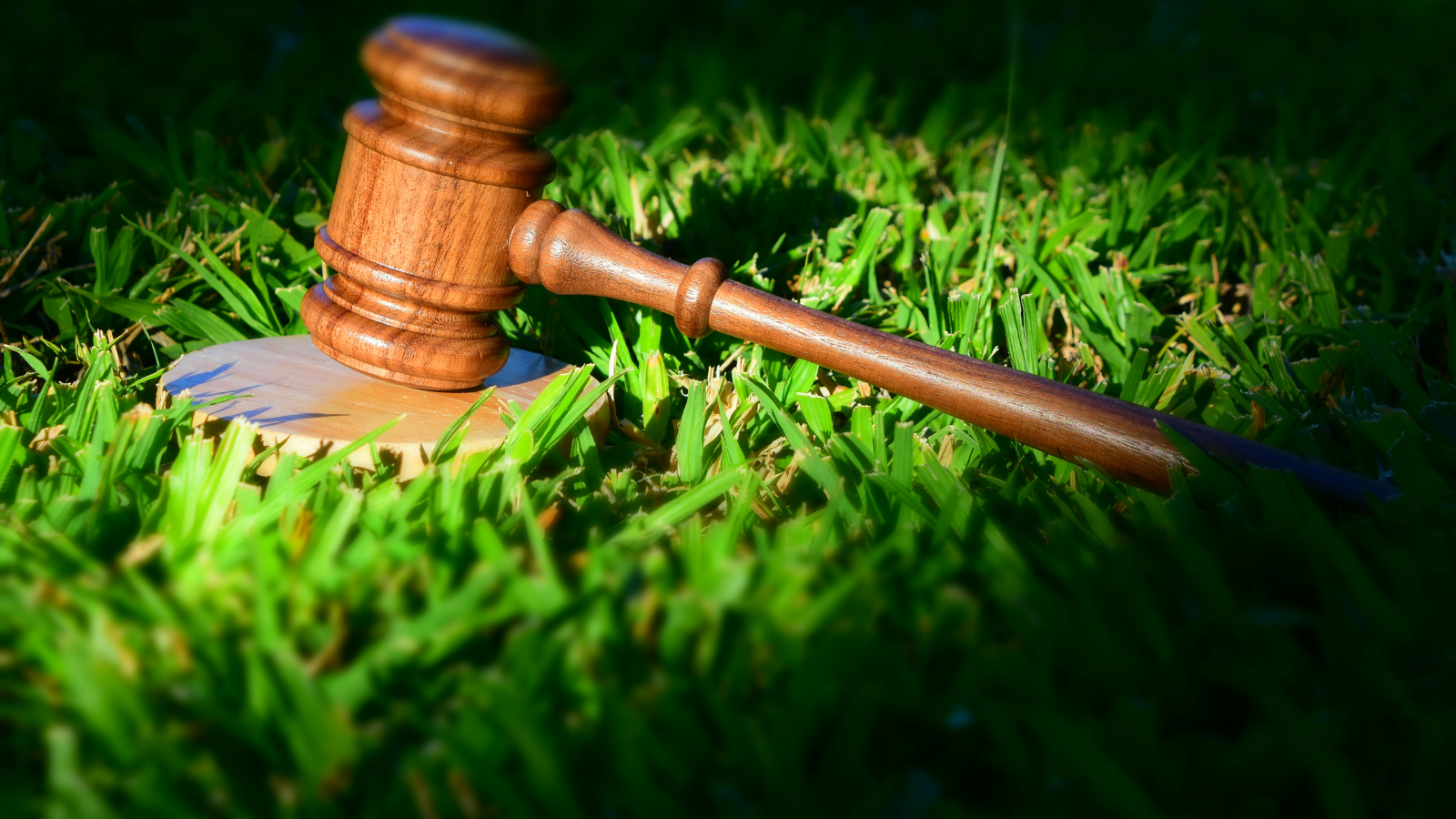Featured image for Joint BioAgora research on transformative governance: Exploring theory of change and the role of the law