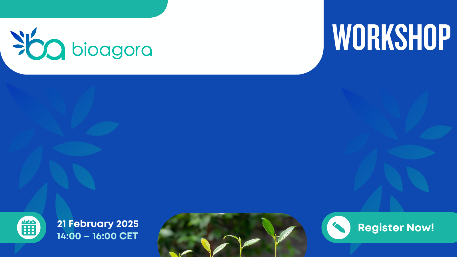 Featured image for Join BioAgora’s workshop on unlocking transformative potential in agroecology