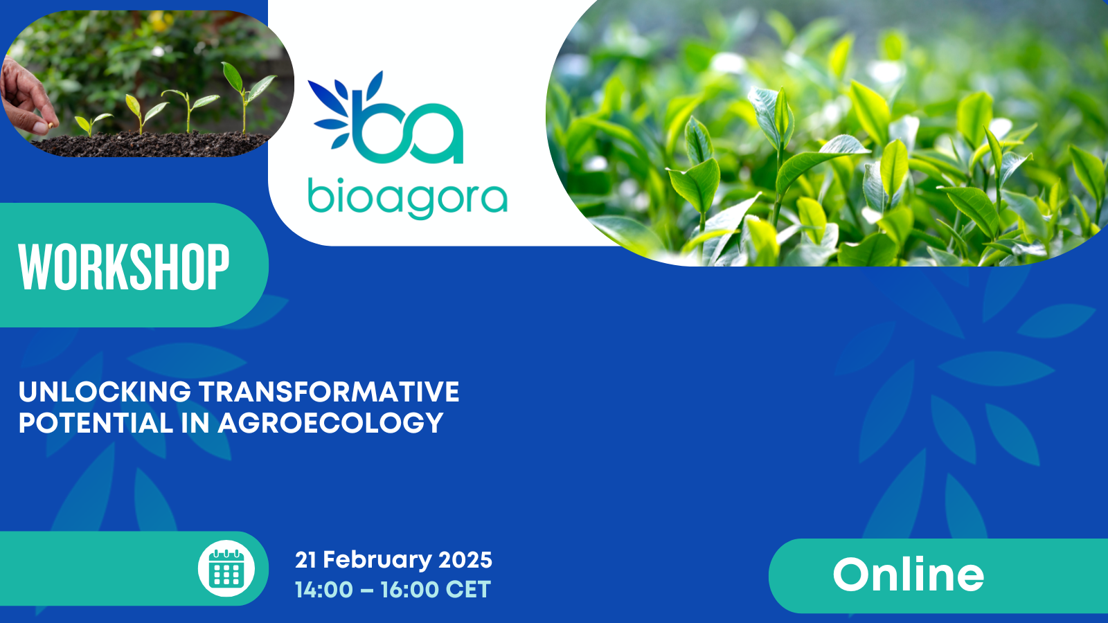 Featured image for Exploring transformative change in agroecology: Key takeaways from BioAgora’s interactive online workshop