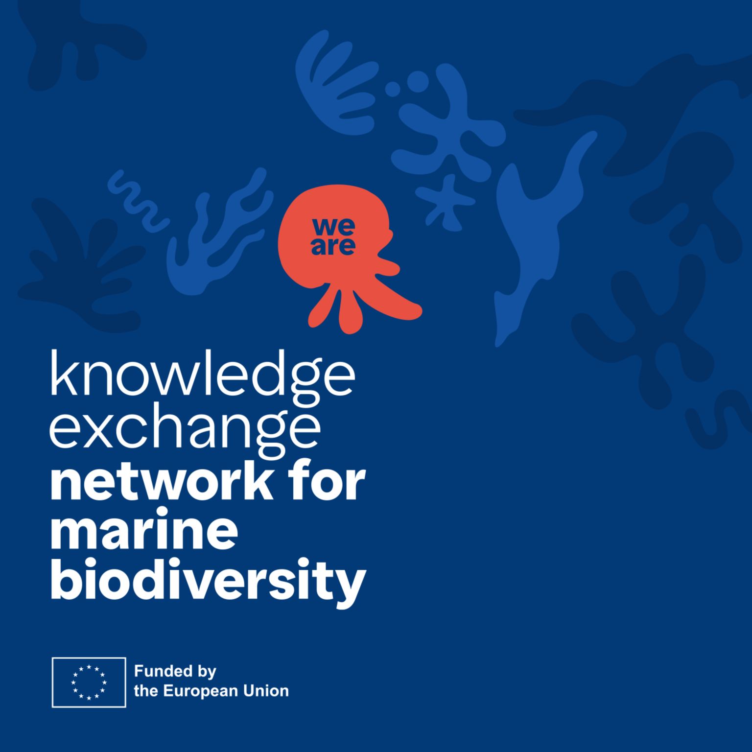Featured image for Marine Biodiversity Cluster Event 2025: Advancing science-policy collaboration for ocean conservation