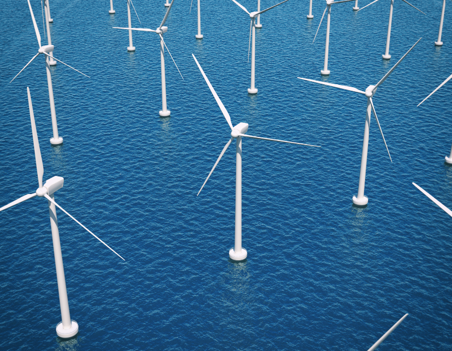 Featured image for Expert workshop by Eklipse on offshore wind farm expansion and marine environmental impact