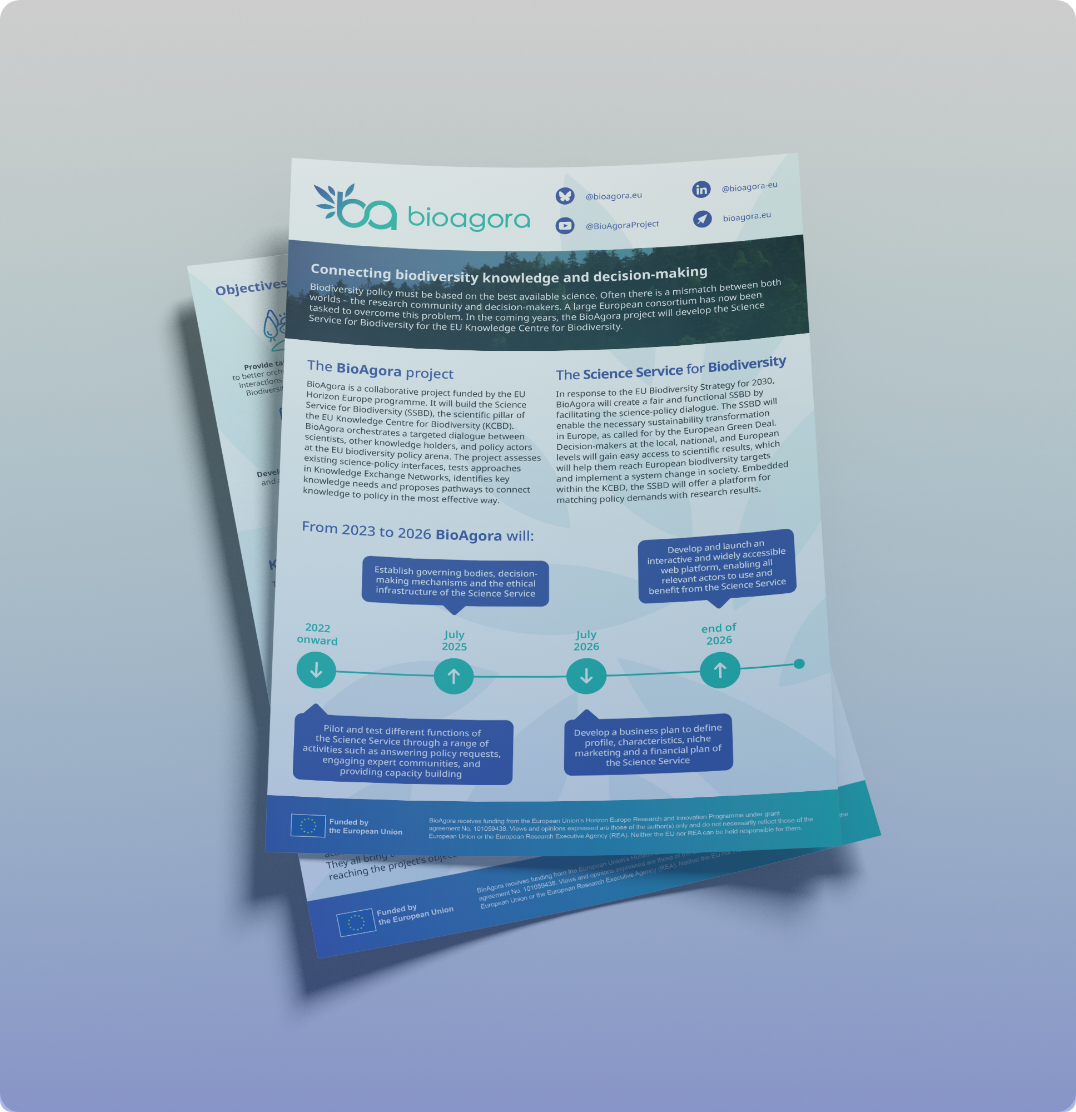 Preview image for One-Pager promotional material