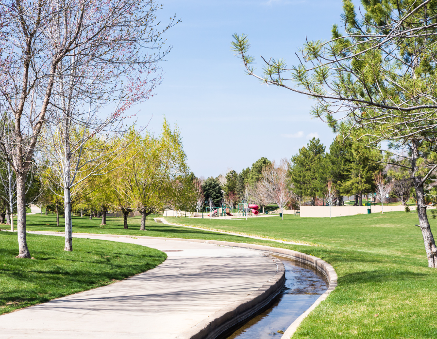 Featured image for BioAgora launches Call for Knowledge on Urban Greening Planning tools