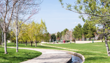 Cover image for article: BioAgora launches Call for Knowledge on Urban Greening Planning tools
