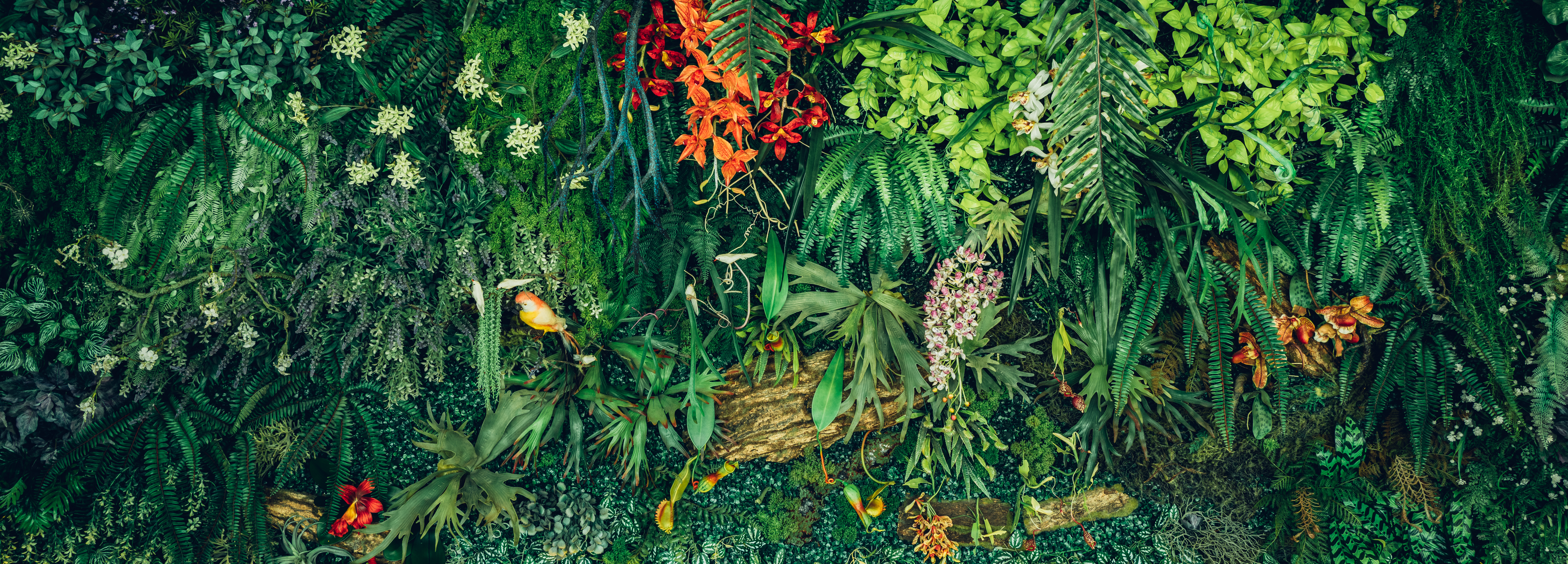 Image representing Nature-based solutions Knowledge Exchange Network