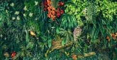 Nature-based solutions
