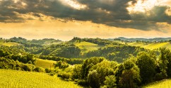 Protected areas and connected nature