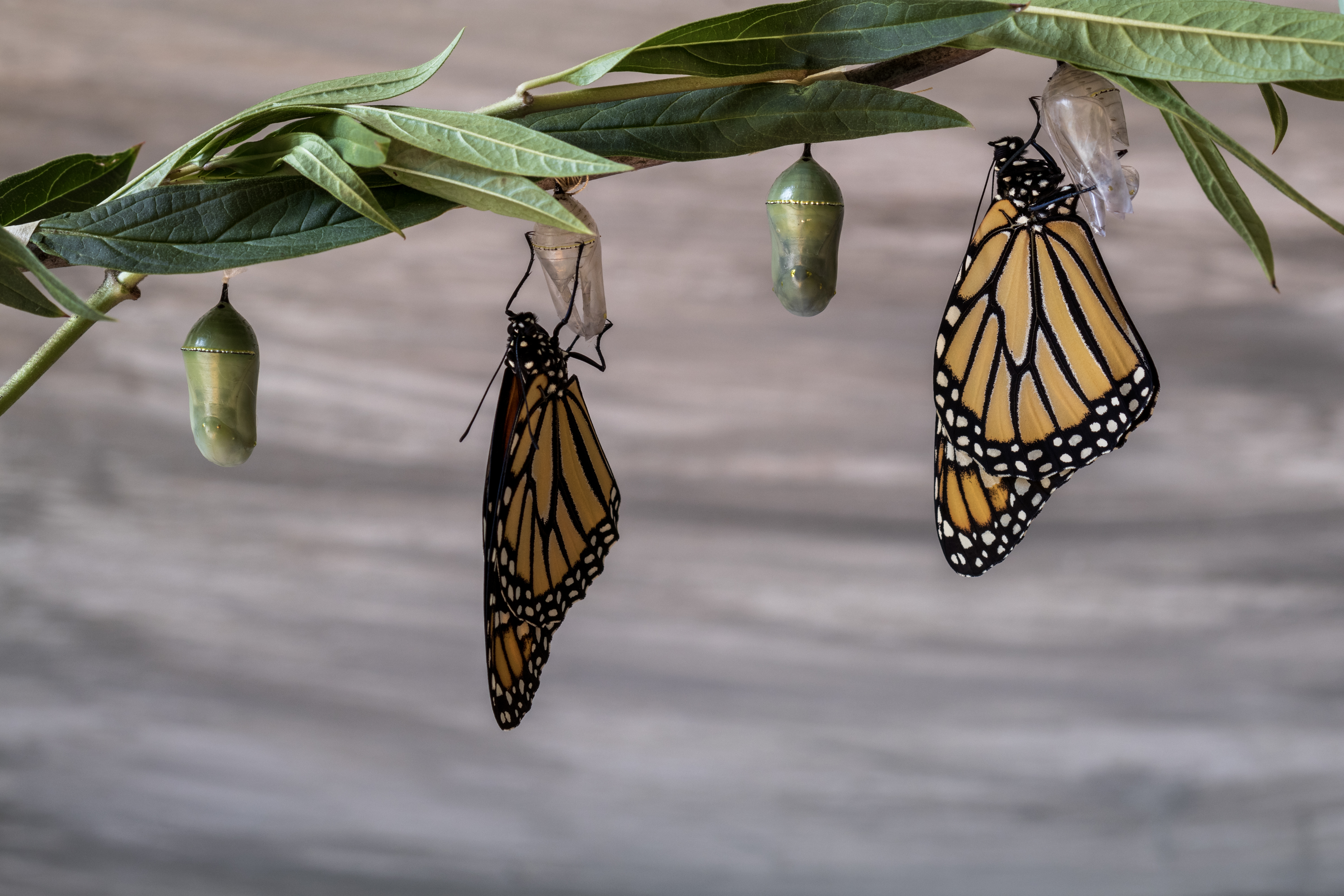 Image representing Transformative change Knowledge Exchange Network