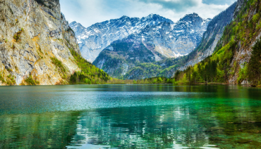 Cover image for article: BioAgora partners contribute to the German Biodiversity Assessment