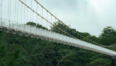 Featured image for article: Bridging Minds: Transforming biodiversity decision-making through learning and play