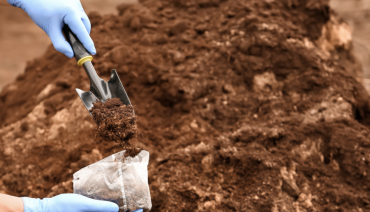 Cover image for article: New EU monitoring law now in place: A milestone for soil health in Europe