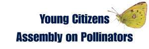 Logo for Young Citizens Assembly on Pollinators (YCAP) project