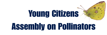 Logo for Young Citizens Assembly on Pollinators (YCAP) project