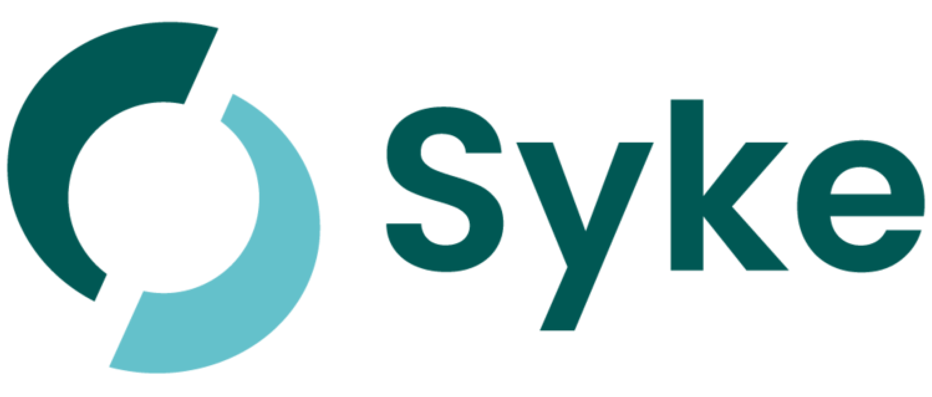 Logo for SYKE (Finnish Environment Institute) partner