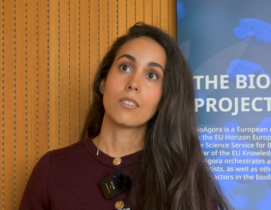 Featured image for New interview: Knowledge requests on nature-based solutions by the European Commission