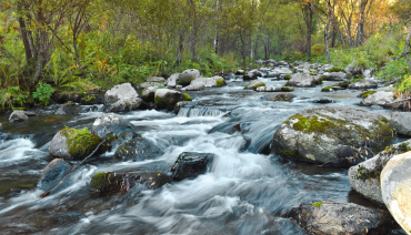 Cover image for article: BioAgora’s contribution to the freshwater science-policy interface highlighted in new paper